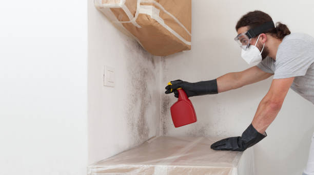Professional Mold Removal technician working in Salem, IL
