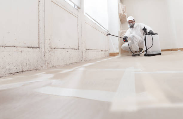 24/7 Emergency Mold Removal experts in Salem, IL